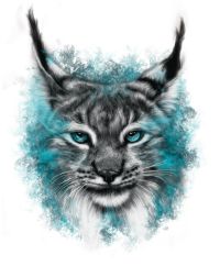 Wild Things Finland lynx